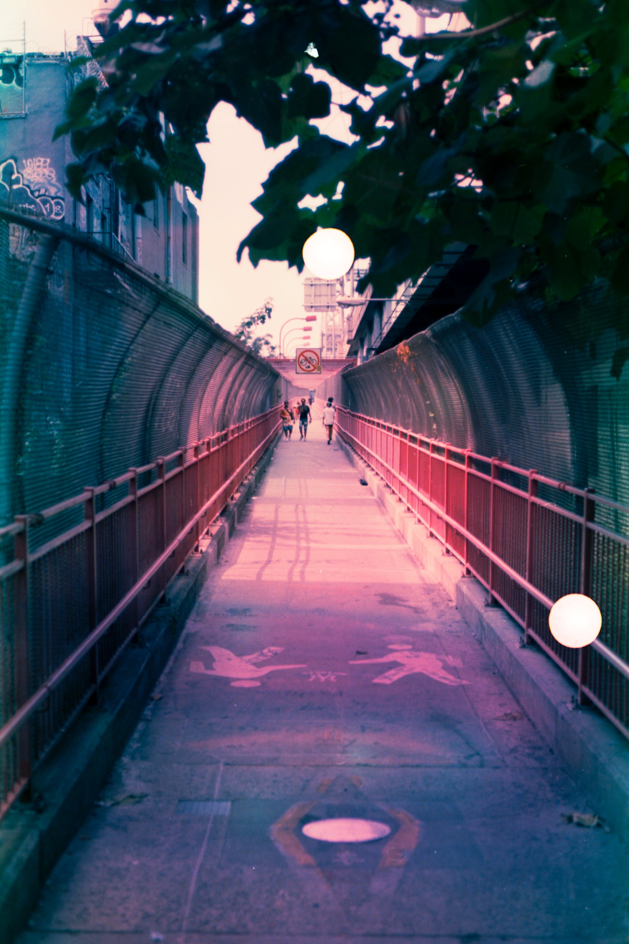 The Houdini | Color Negative, Color Reversal, & B&W Negative