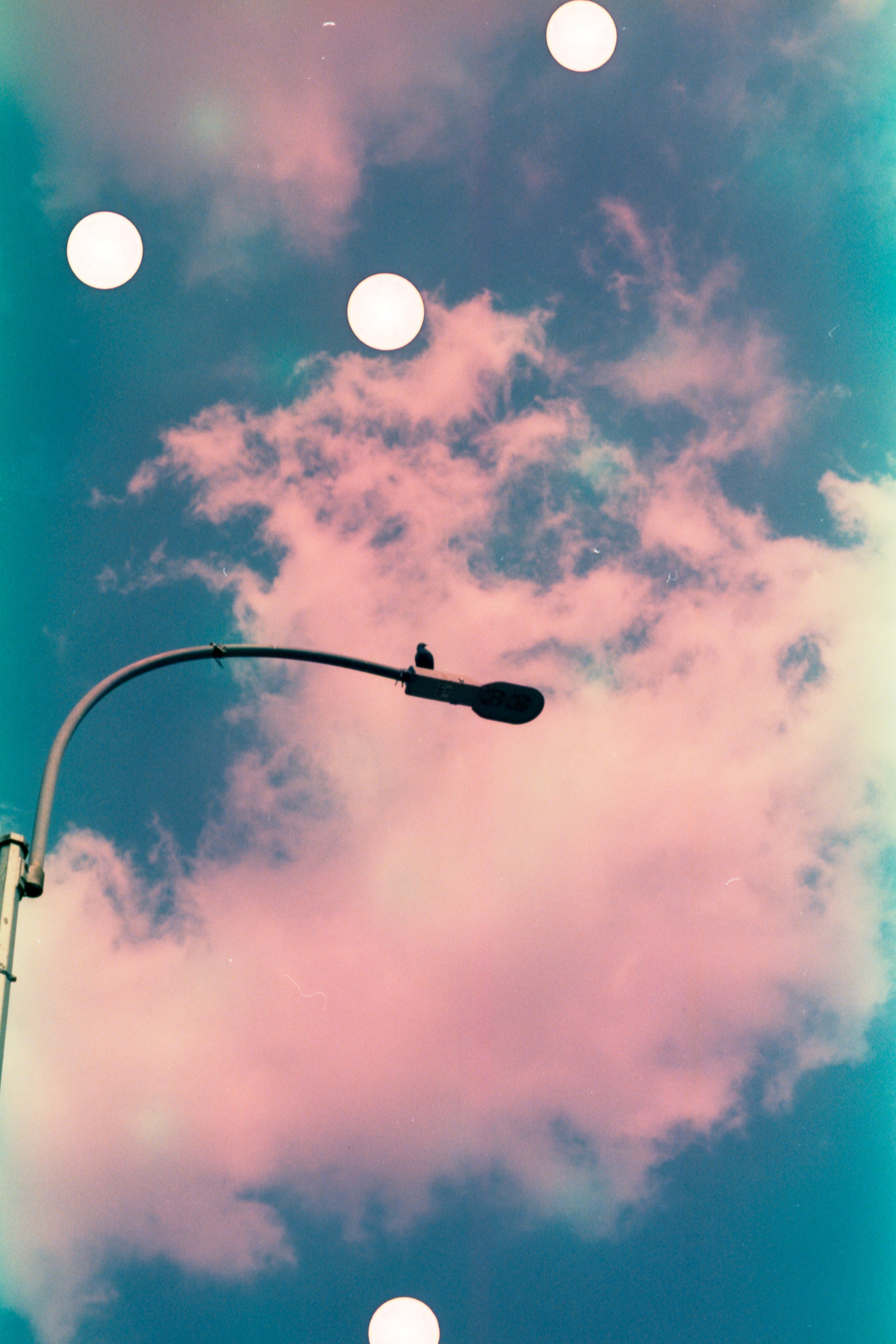 The Houdini | Color Negative, Color Reversal, & B&W Negative