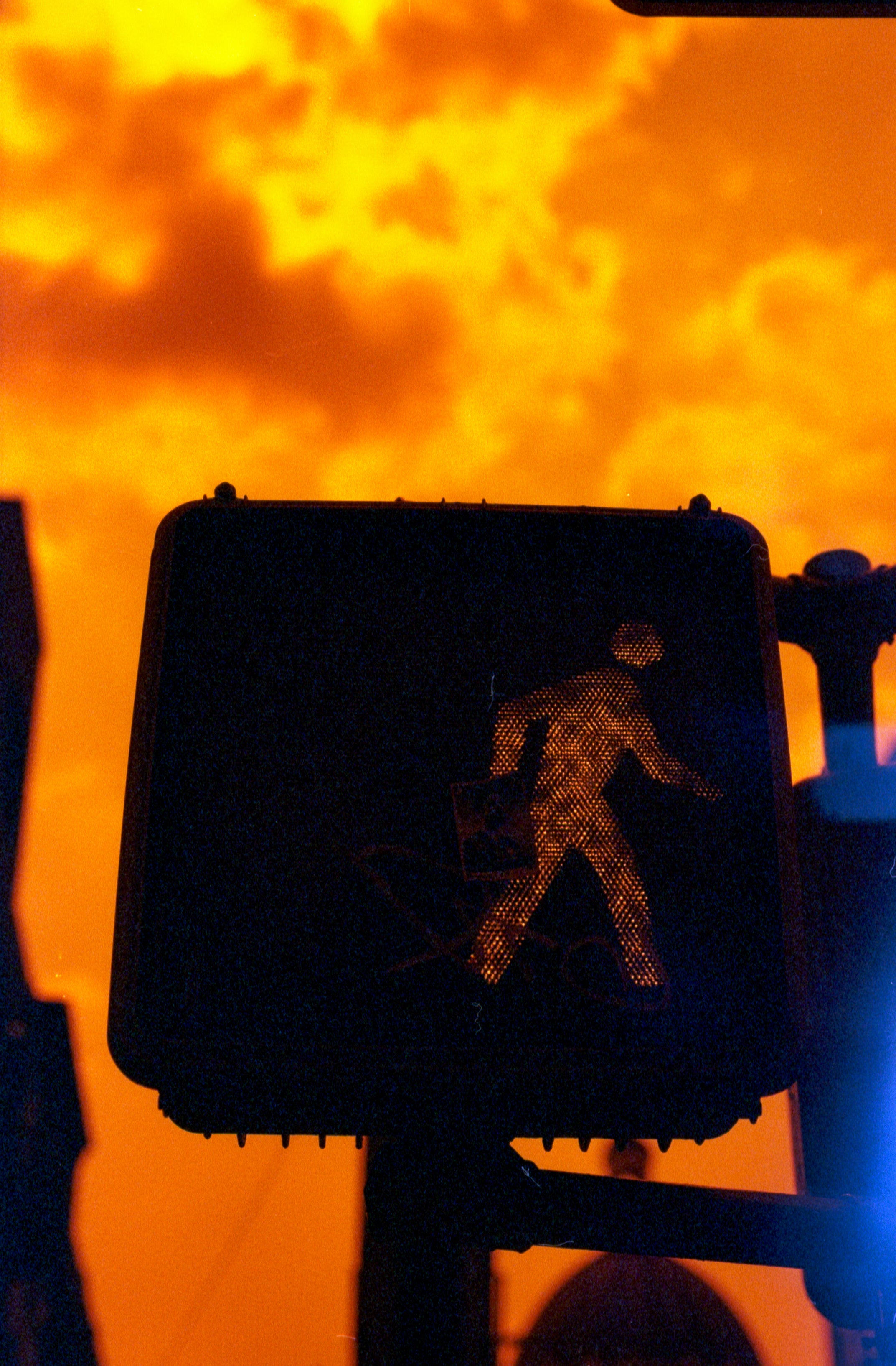 RedRum 500T | Redscale Motion Picture Film