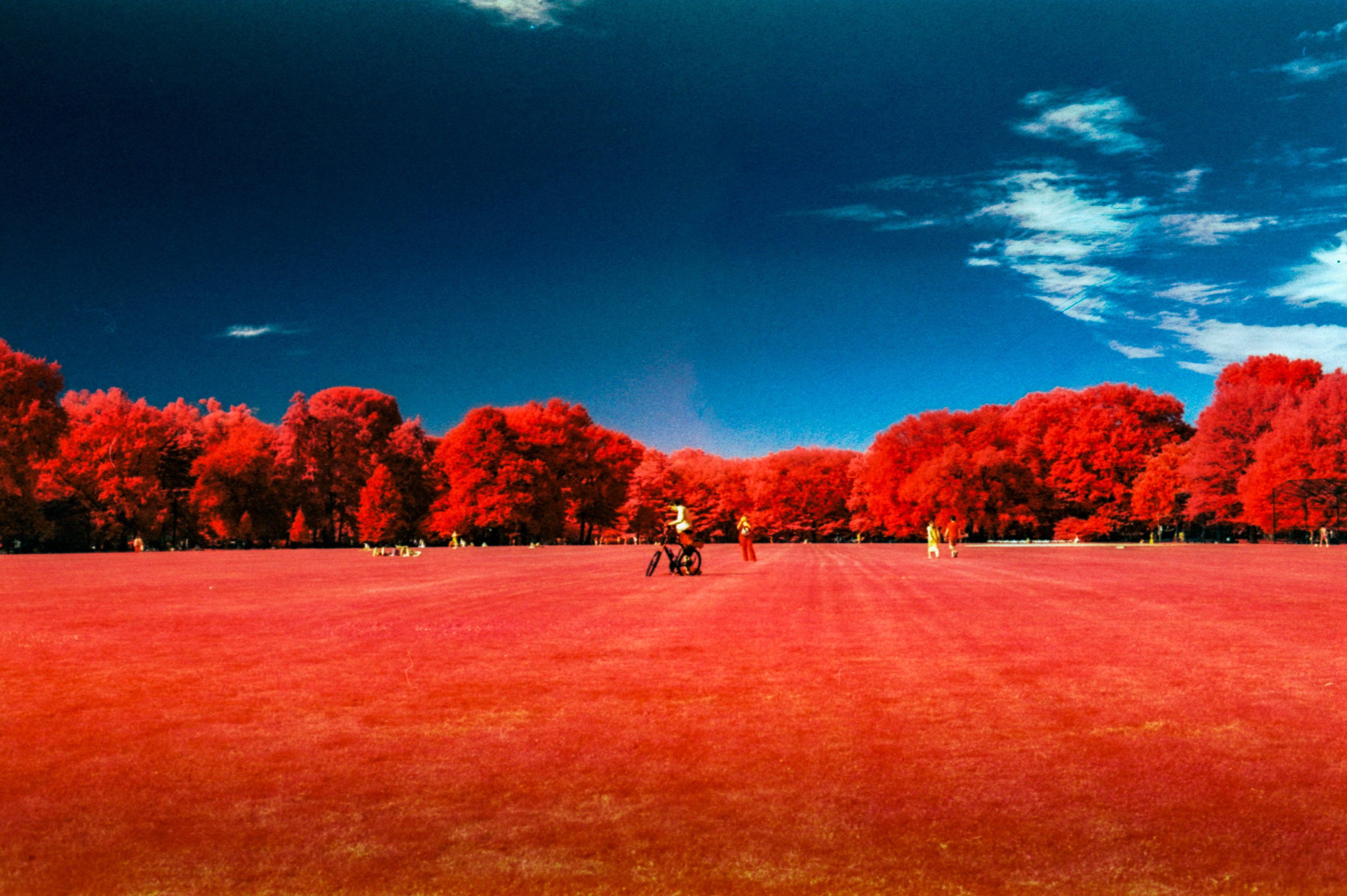 Aerochrome II Infrared | Vintage Infrared Film