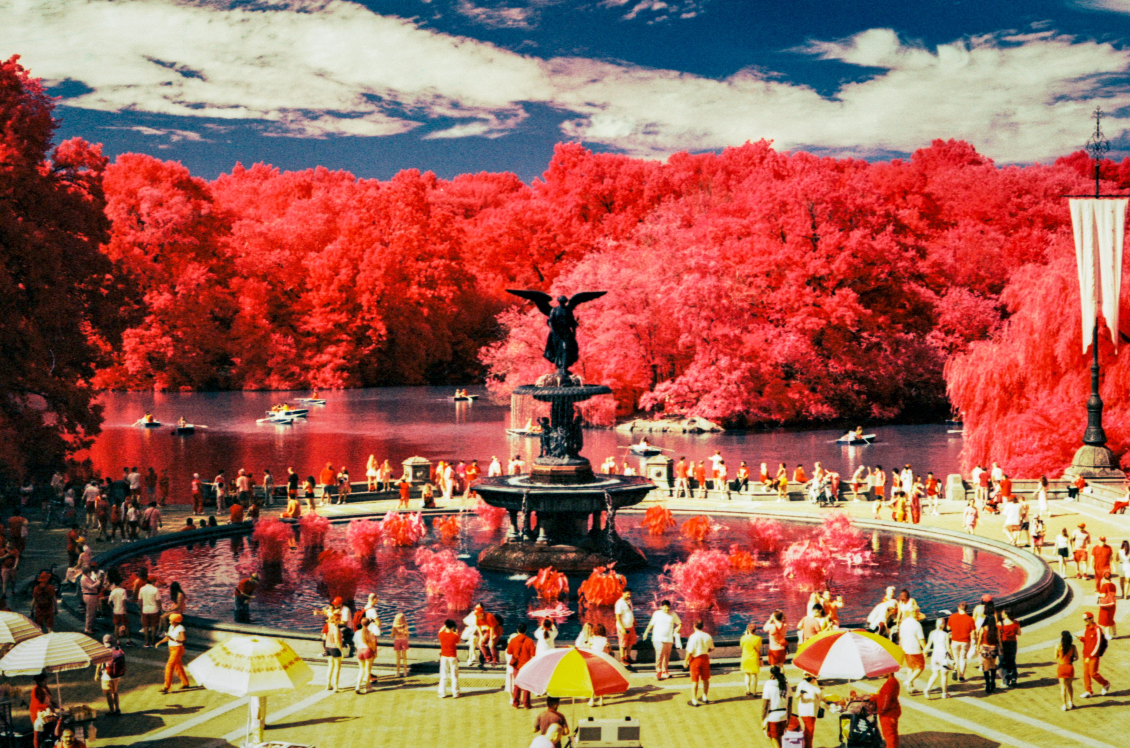 Aerochrome II Infrared | Vintage Infrared Film