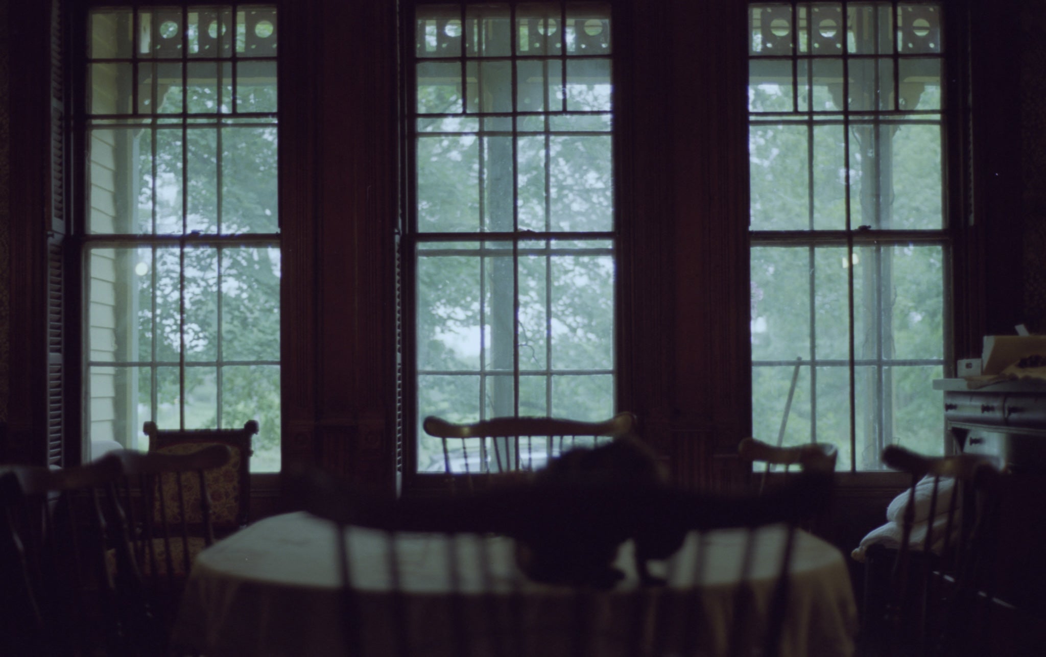 Vision 3 250D | Color Motion Picture Film