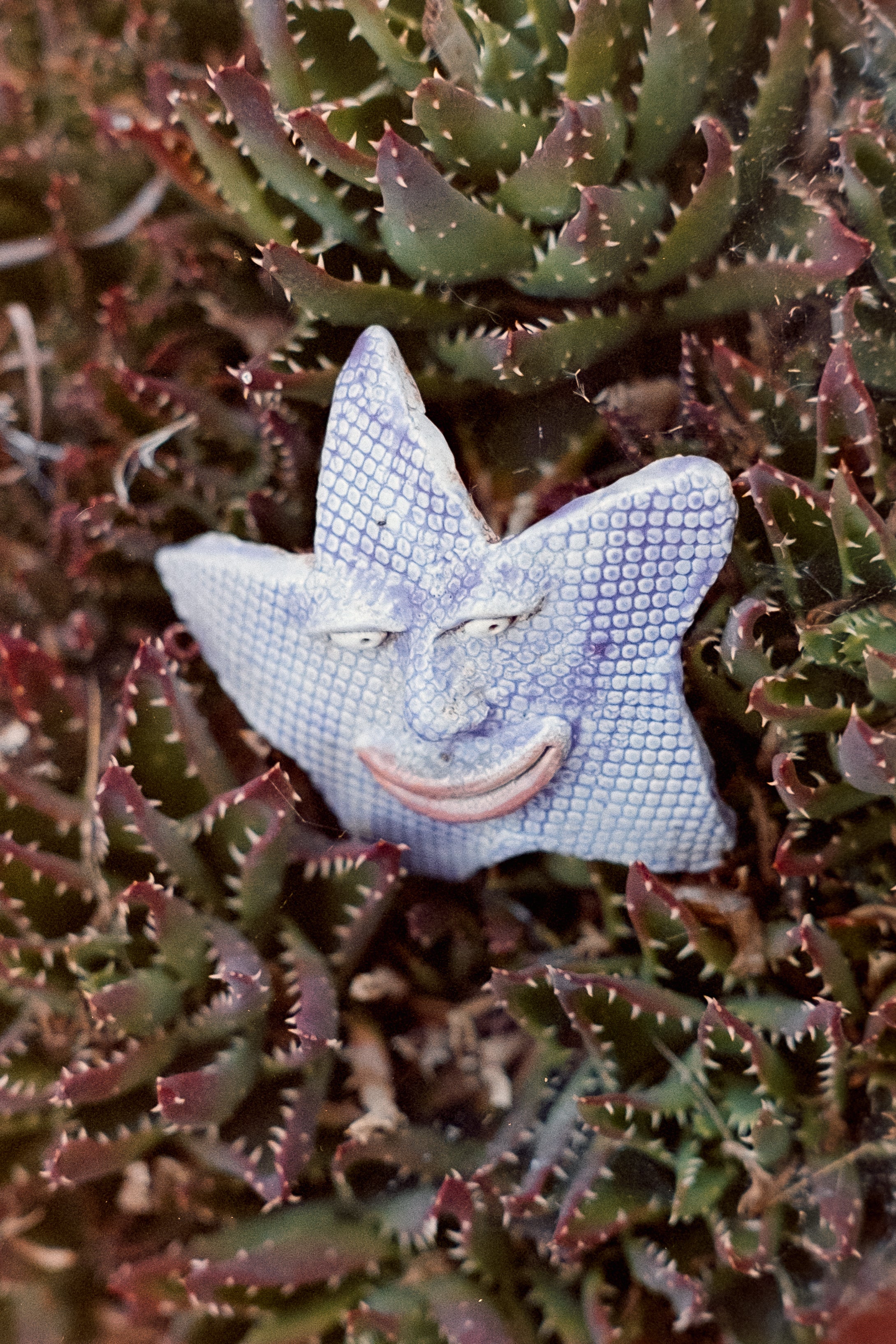 Fujicolor Superia 200 Press 35mm (2003)