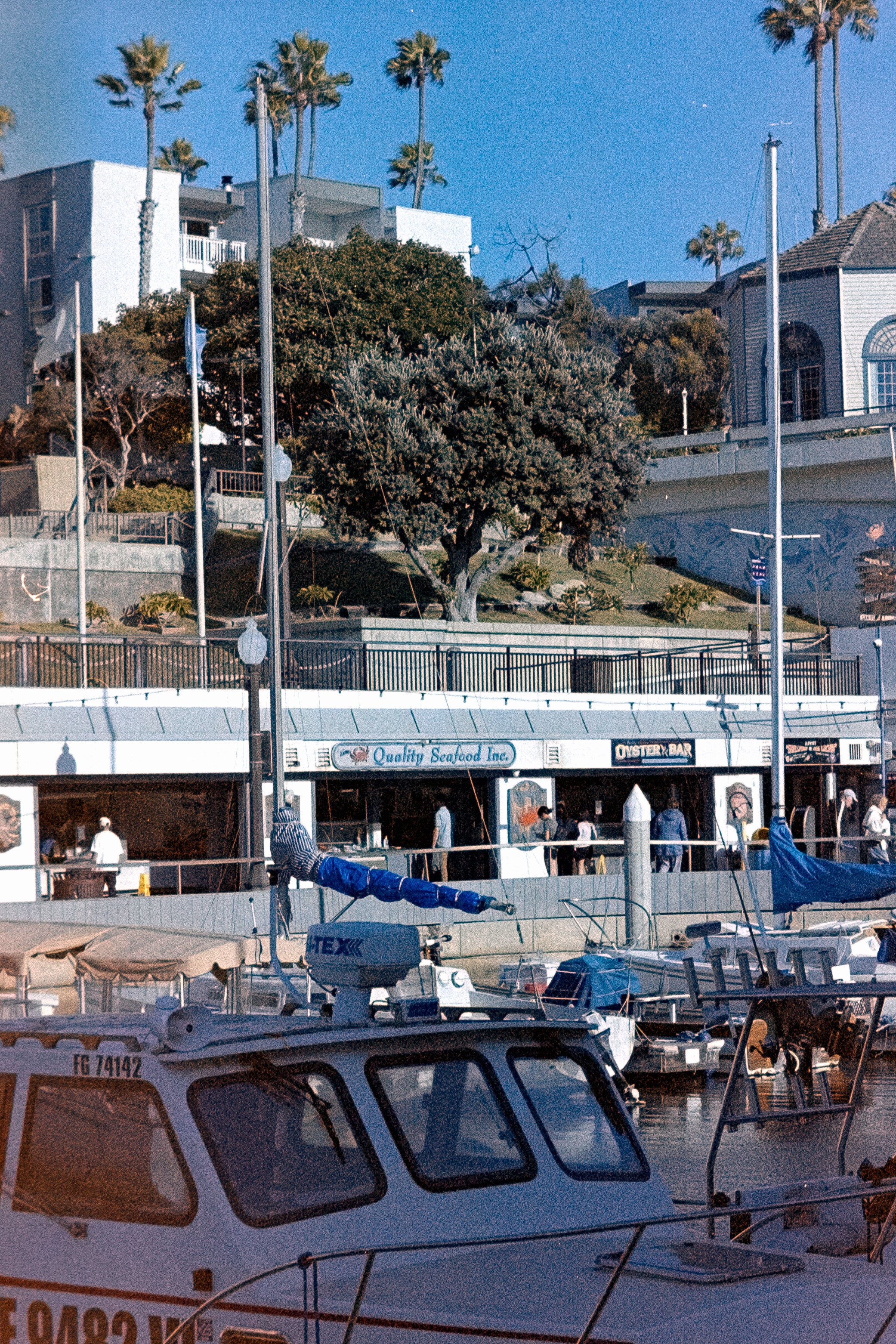 Fujicolor Press 800 - 2001 | Vintage Color Film