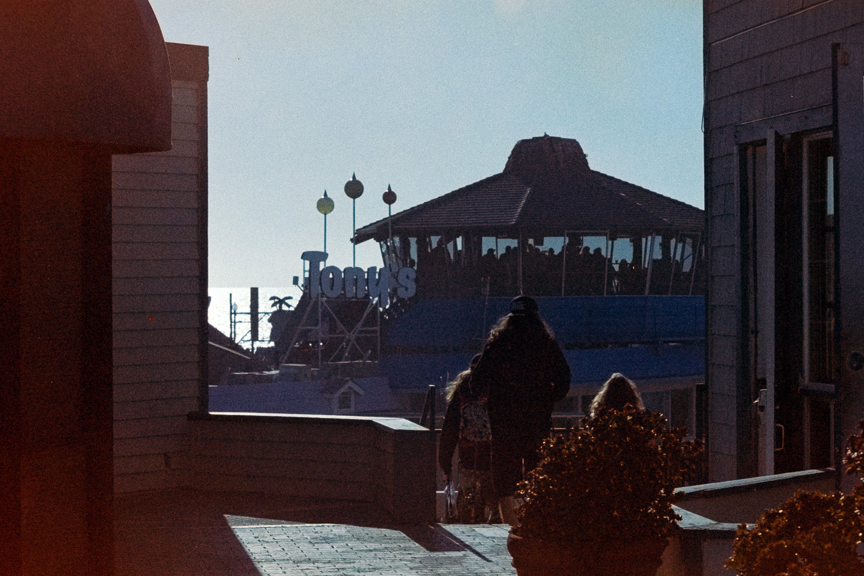 Fujicolor Press 800 - 2001 | Vintage Color Film