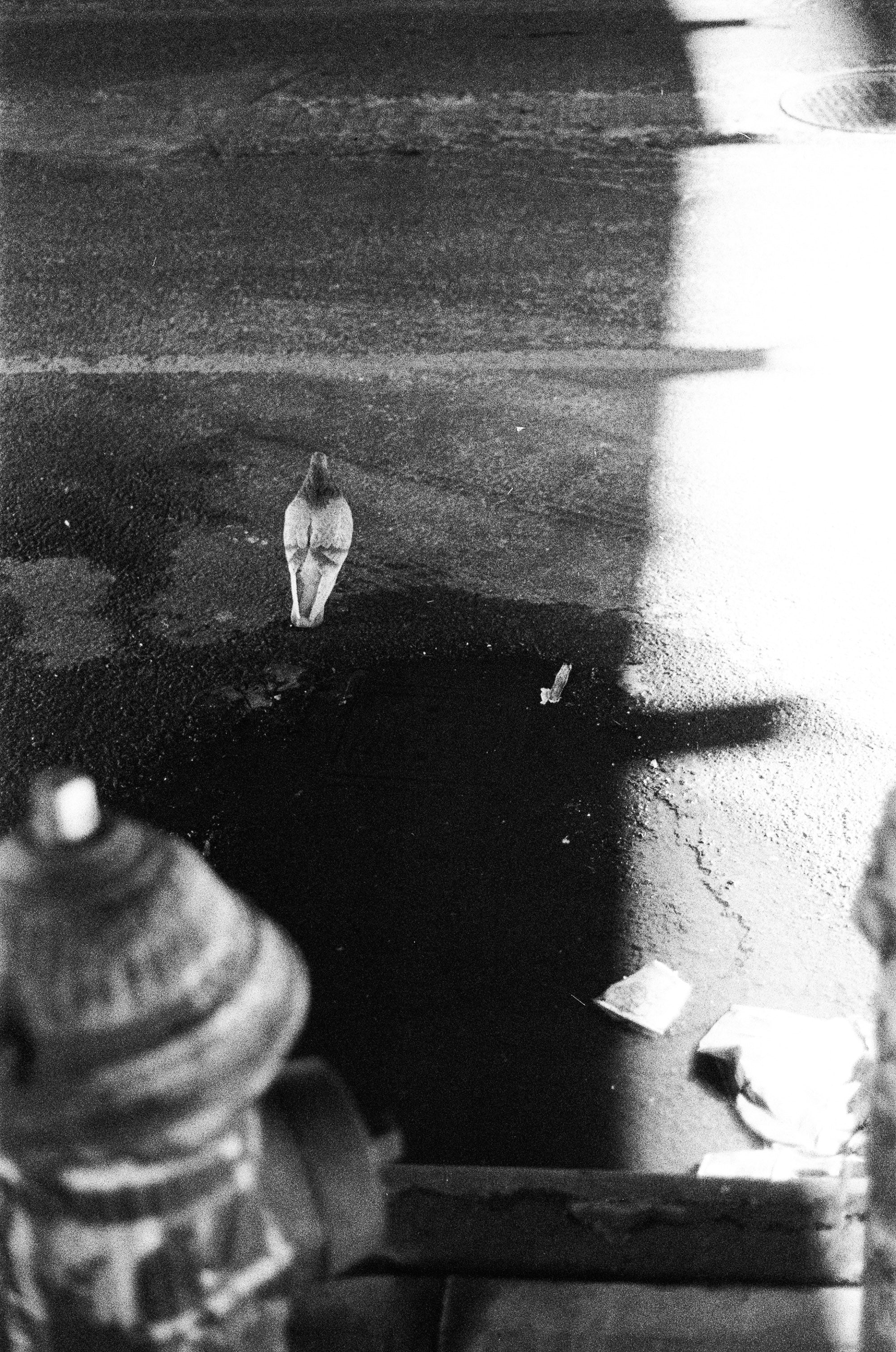 Tri-X Pan 1989 | Vintage B&W Film