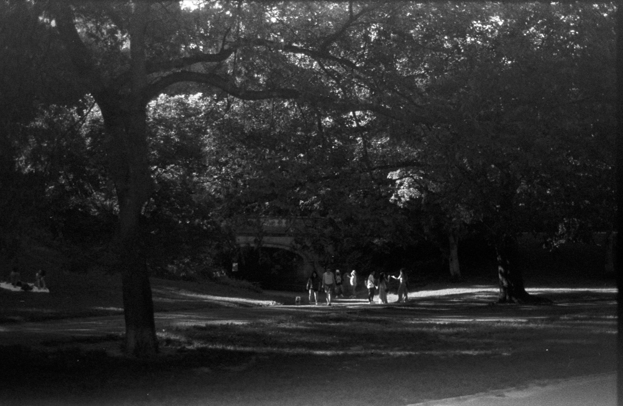 2475 Recording Film | B&W Negative