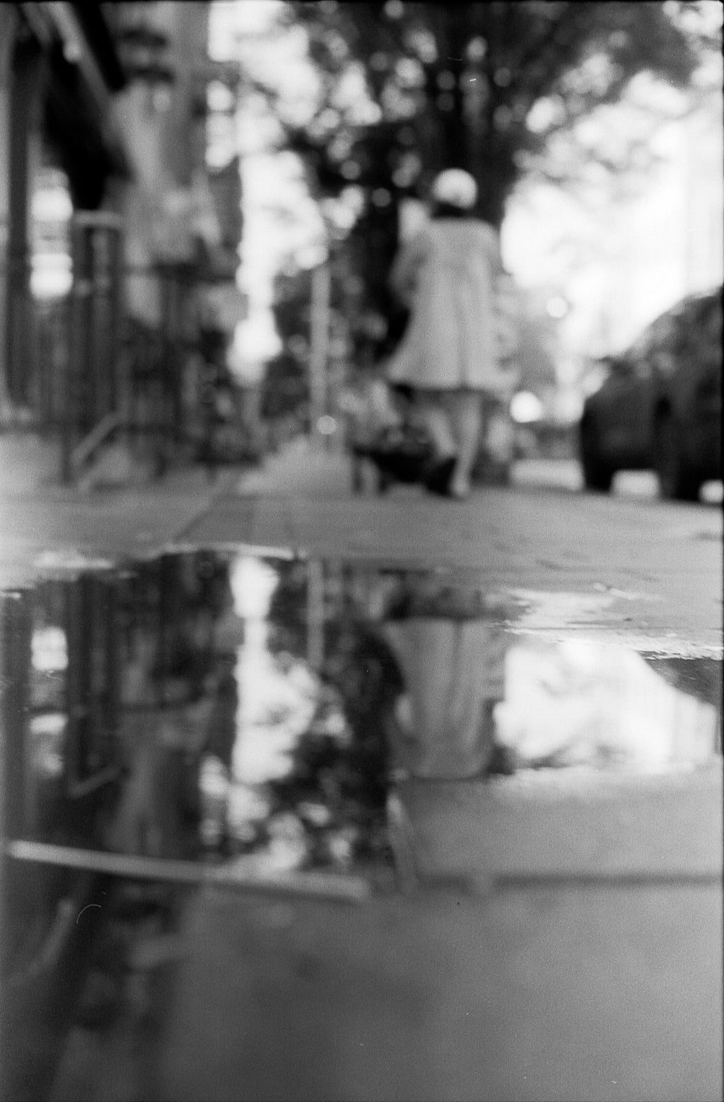 Formula X | B&W Negative