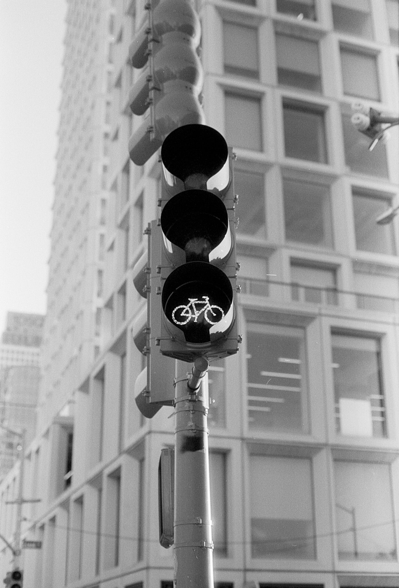 Formula X | B&W Negative