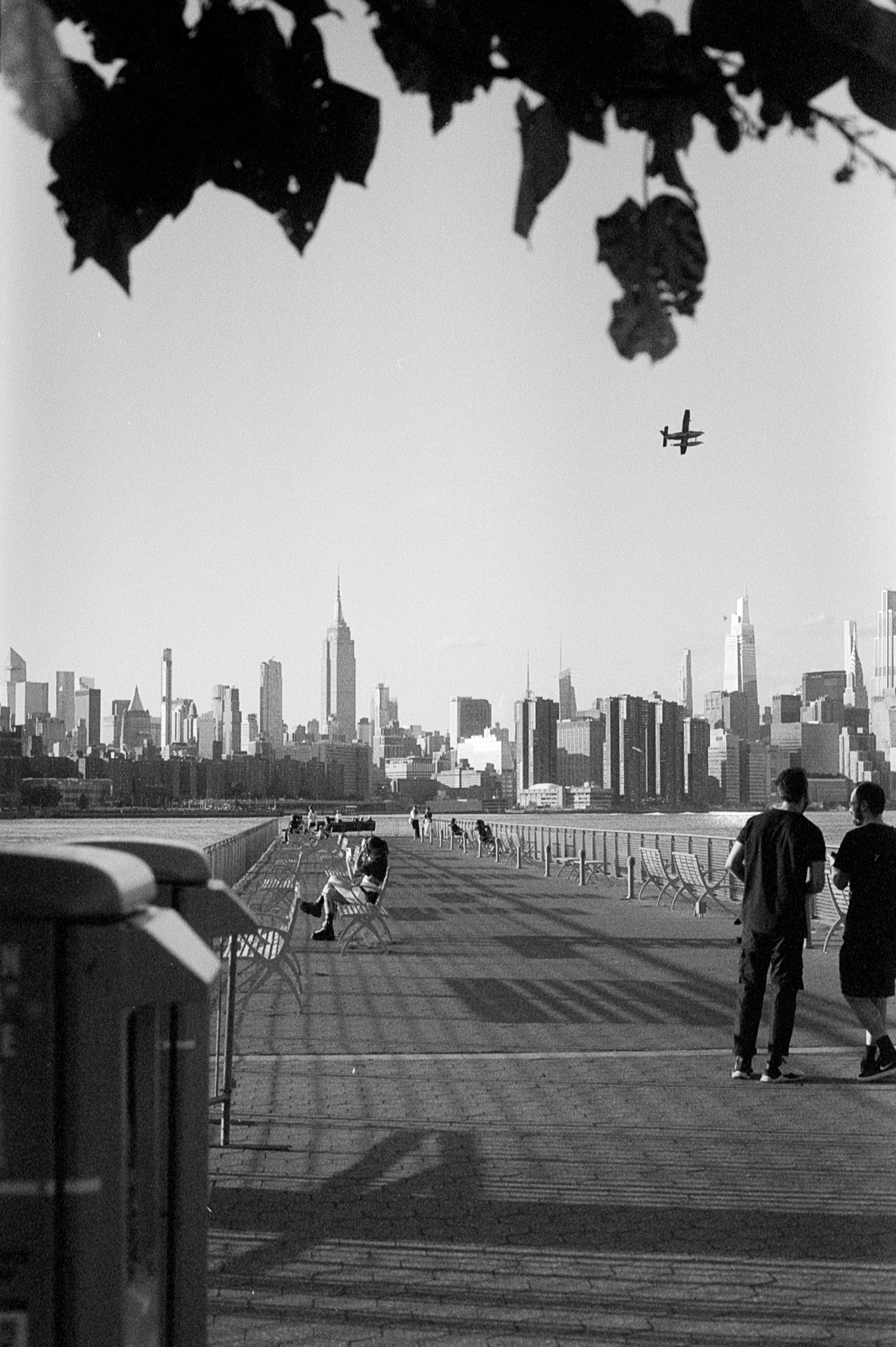 Formula X | B&W Negative