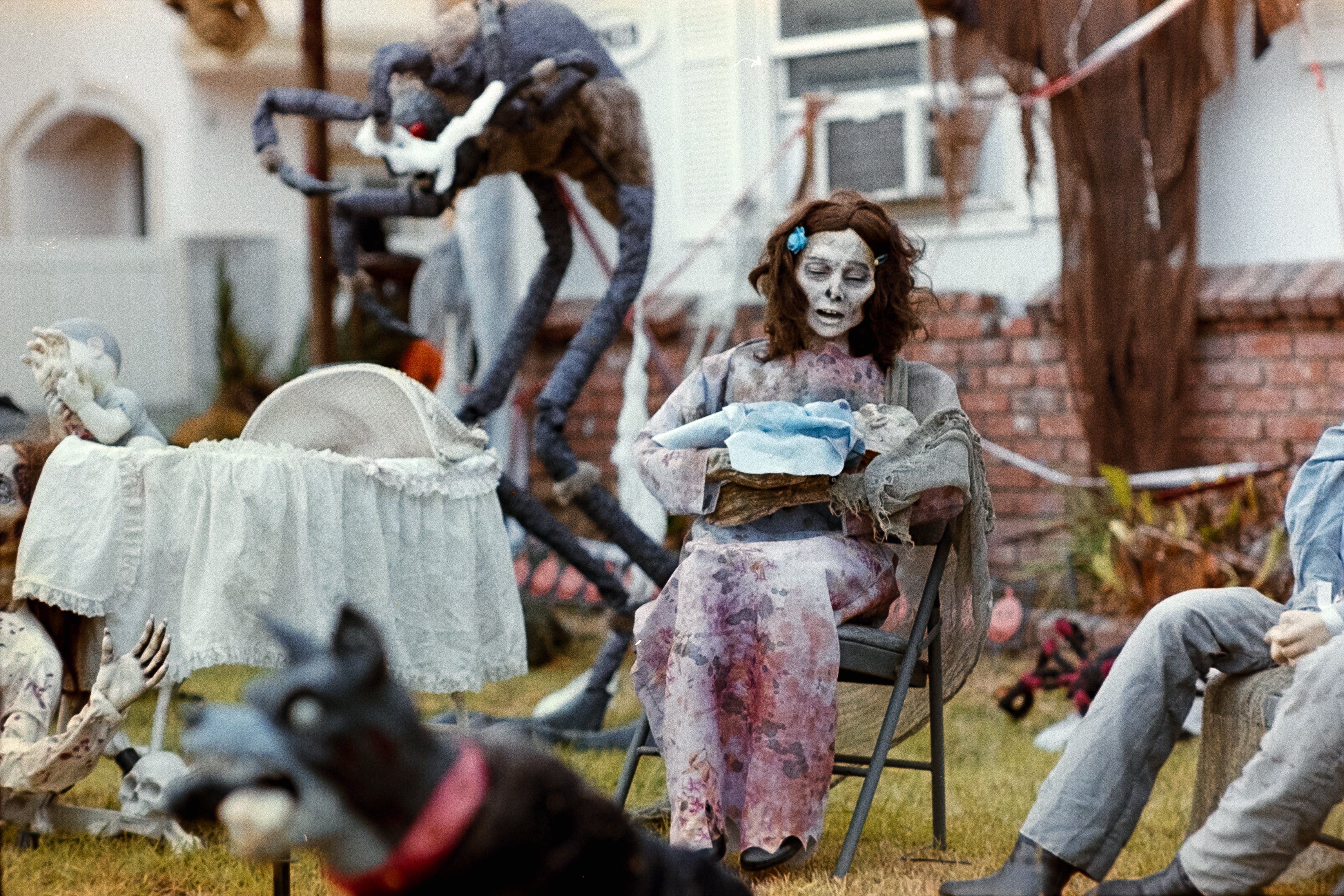 Fujicolor Superia 200 Press 35mm (2003)